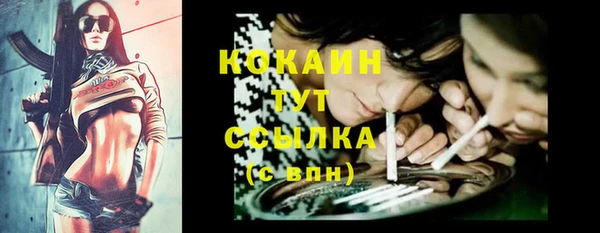 мяу мяу мука Алексеевка