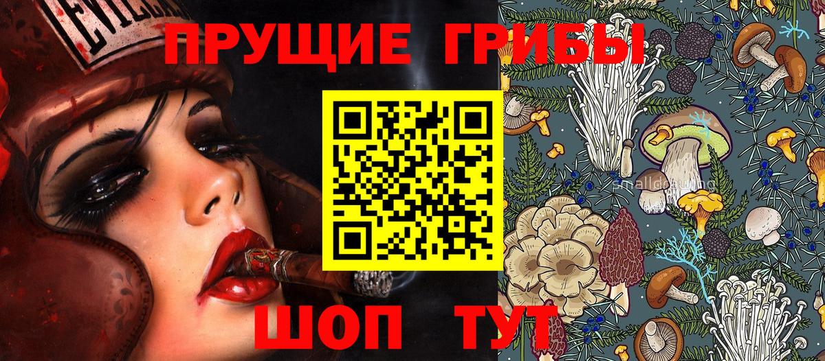 Галлюциногенные грибы Psilocybine cubensis  Вход с VPN  Шатура 