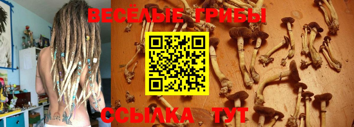 Галлюциногенные грибы прущие грибы Шатура